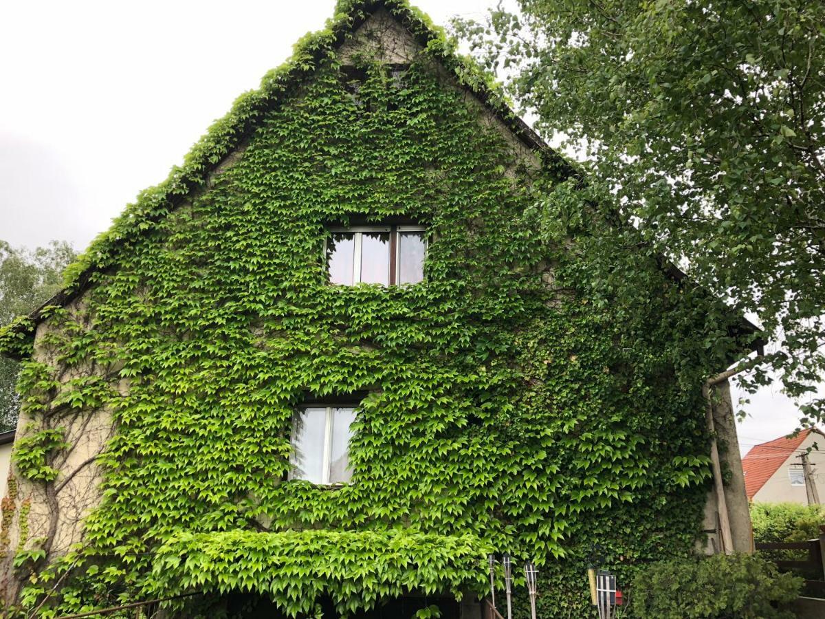 Veranda Apartman Nyíregyháza エクステリア 写真