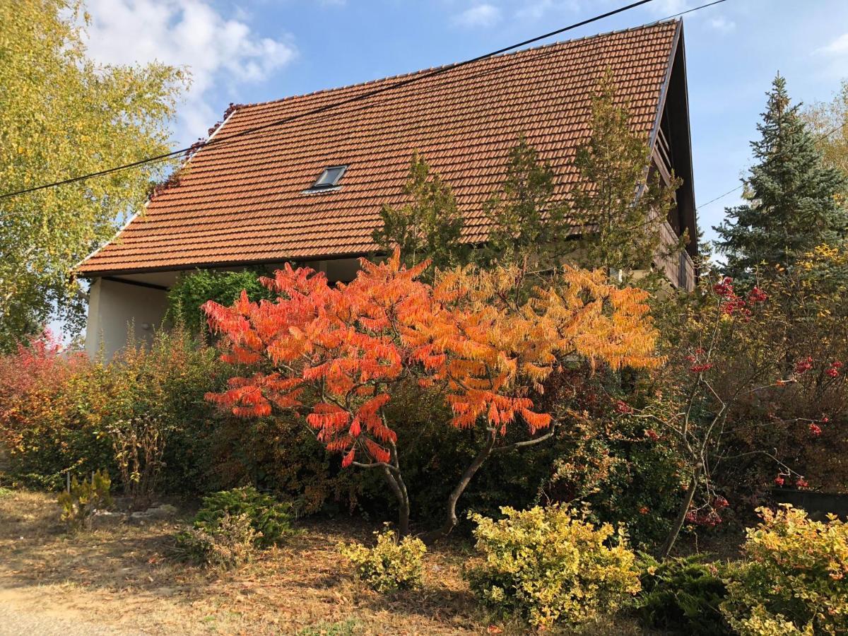 Veranda Apartman Nyíregyháza エクステリア 写真